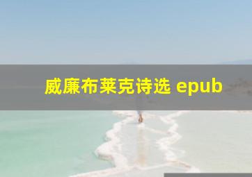 威廉布莱克诗选 epub